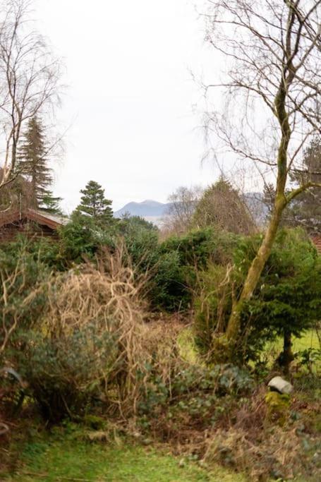 Cozy Norwegian Style Log Cabin In Rural Snowdonia - 2 Bedrooms & Parking By Seren Short Stays Ffestiniog ภายนอก รูปภาพ