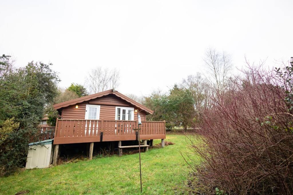 Cozy Norwegian Style Log Cabin In Rural Snowdonia - 2 Bedrooms & Parking By Seren Short Stays Ffestiniog ภายนอก รูปภาพ